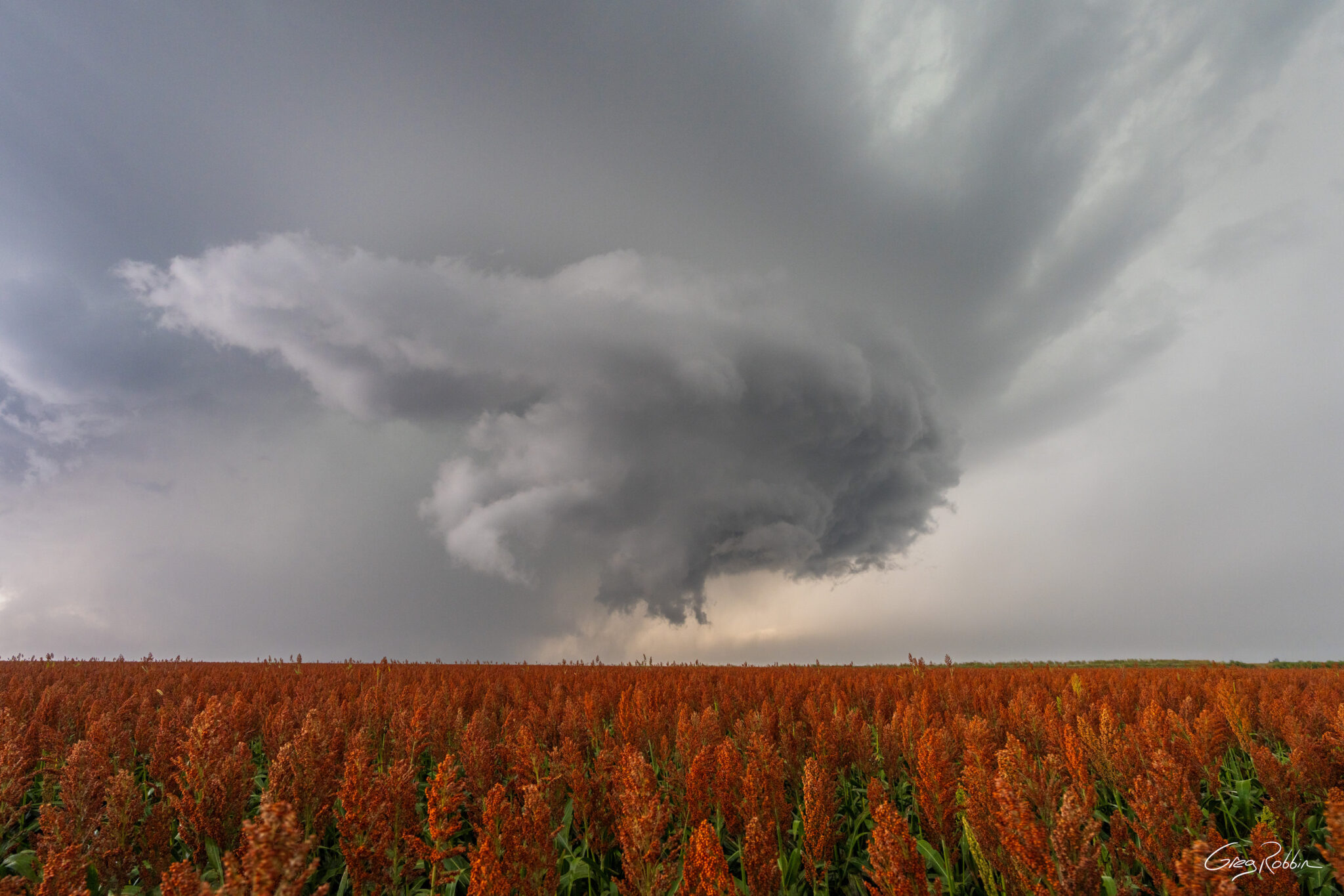 September Supercell, 2023